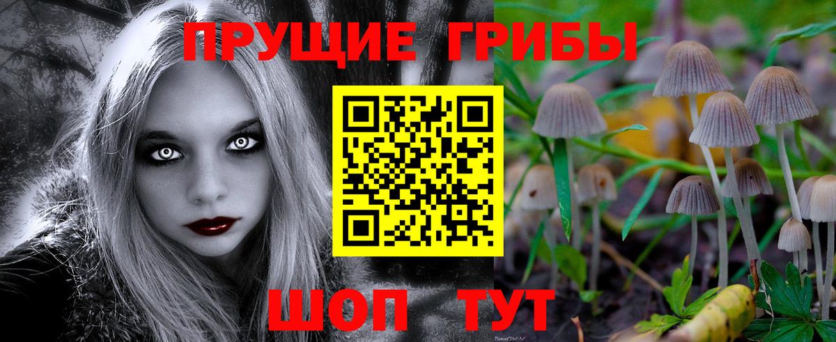 Псилоцибиновые грибы Psilocybe Амурск
